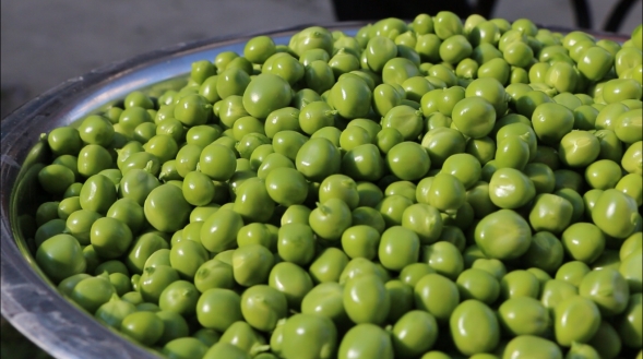 微信图片_20251223152432_154_317