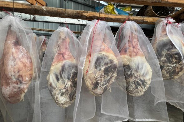 0fdfef71dbcff38e991100f26176fbc9