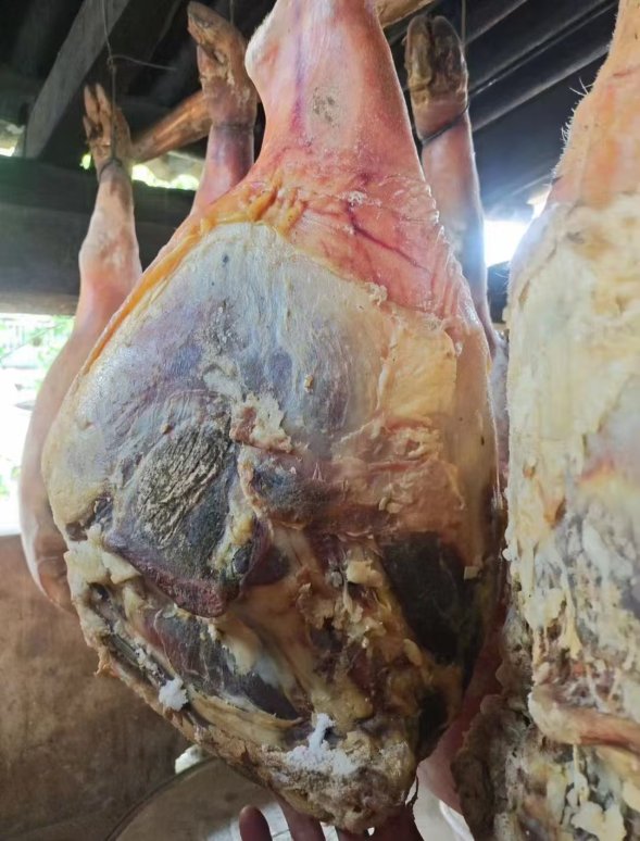 c288996074525bd36e62f1f8ffdcafe8