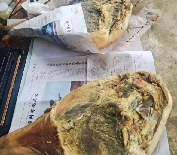 81b57c3dfcce7425e64b4c73fa309e8b