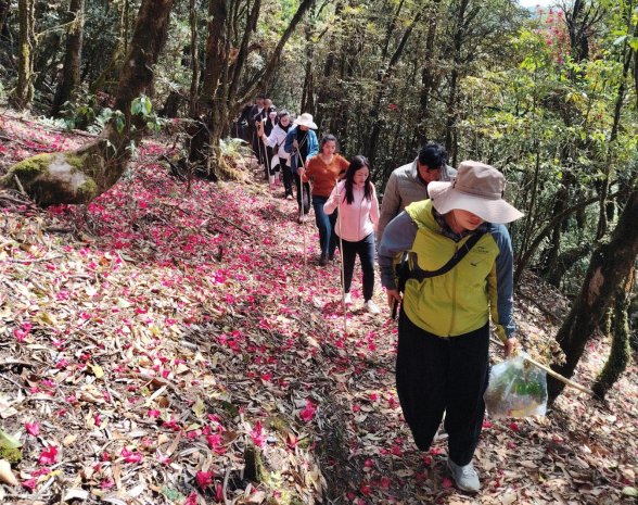 2476390daf22f97bdee20a6c9d179a93