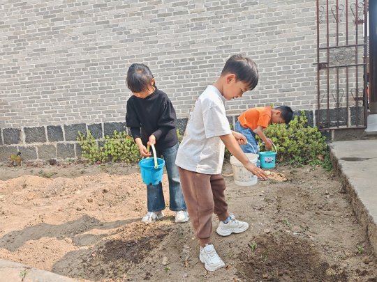 图示, 示意图

中度可信度描述已自动生成:ver1