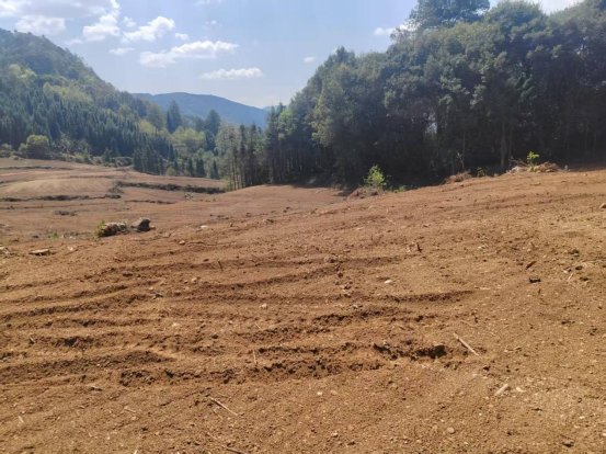 b9722965455cac09ad4a851393ab5f42