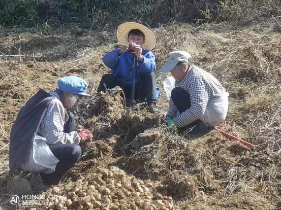 2cbc584d741fb43138c8e1e88be34594