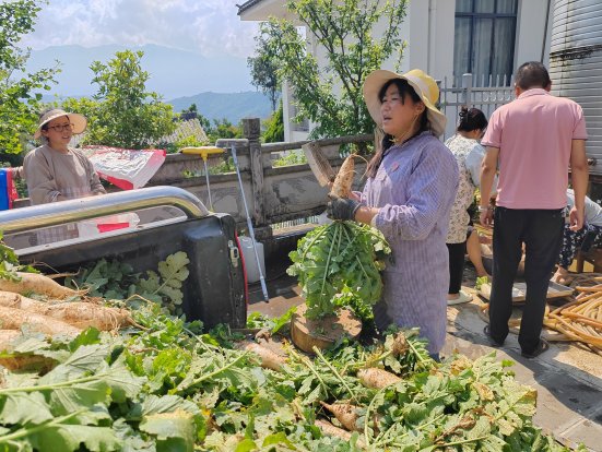 1703cc0c4b7d290ae286d68a36c3ba28