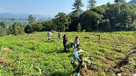 85cbaed1d9e05ac8e367ca9f64d1939e