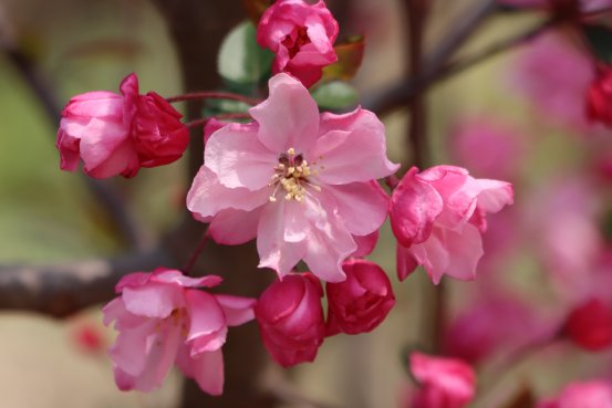 微信图片_20250331154646