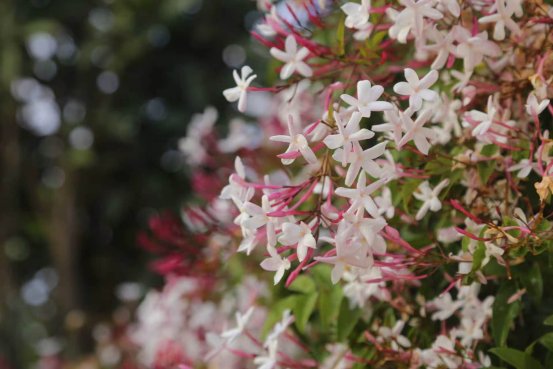 287a835de2a99b8f533cf23d3e47a212