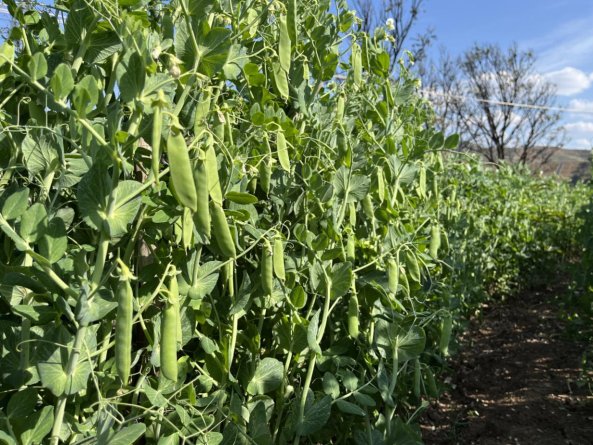 微信图片_20260323160026_4254_88