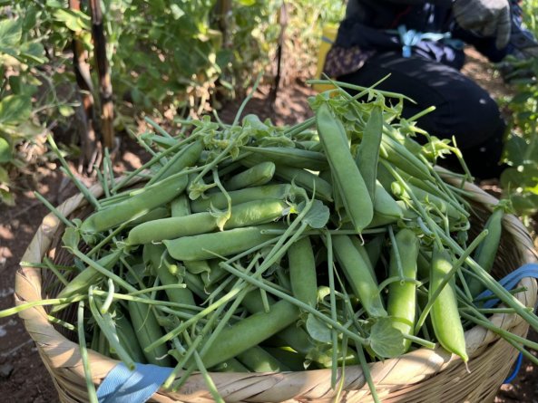 微信图片_20260323160205_4258_88