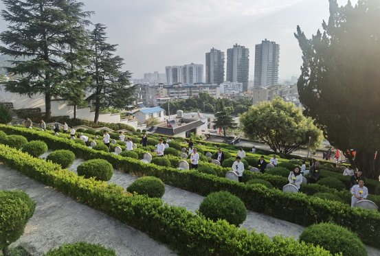 7e27414cbf6ee5a1927a81931d67bb01