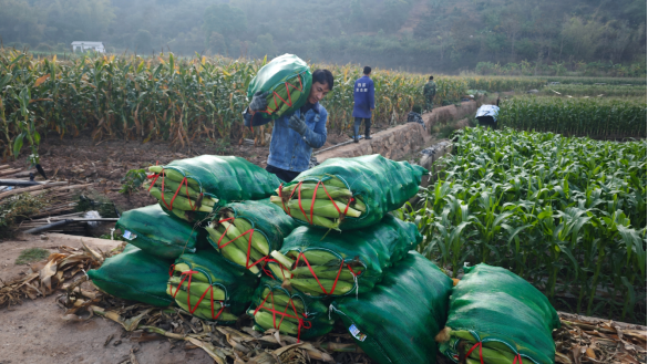 微信图片_2026-03-26_082734_472