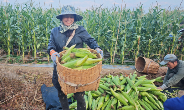 微信图片_2026-03-26_082704_072