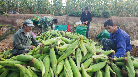 微信图片_2026-03-26_082723_071