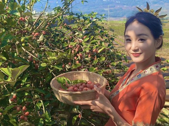 e42019f6530425b3e289fbc6af90c25b