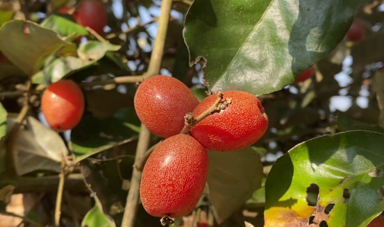 ebacab9b86fa96ce666927a85a81152b