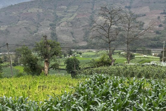 070e0b3ca8062153d88af51527c9ee6c