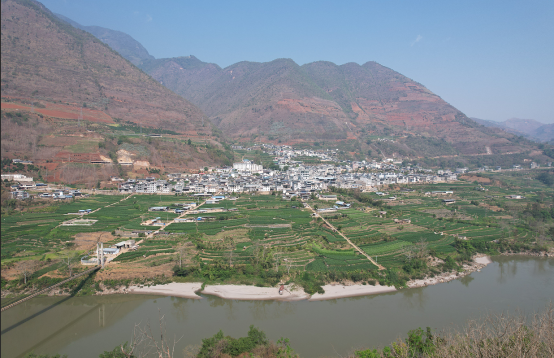 6c62a2c74f549826513ccddf03ff342d