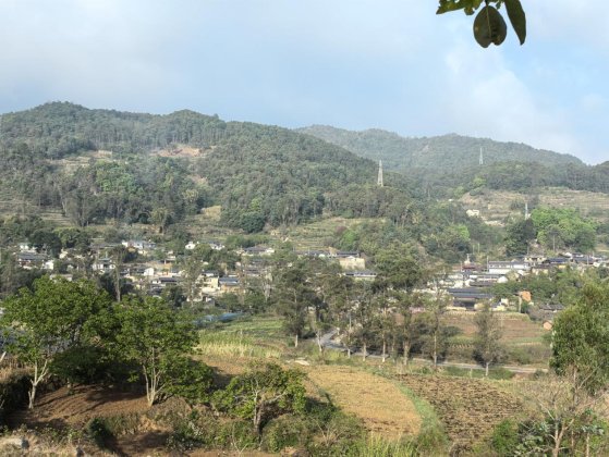 c90639fd521b7906ea981e3305a9ac79