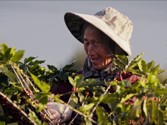 E:\微信文件\WeChat Files\cheer102030\FileStorage\xwechat_files\cheer102030_b8b2\temp\RWTemp\2026-04\ff2df41cf076ca4ac80fab4270ab4d96.jpg