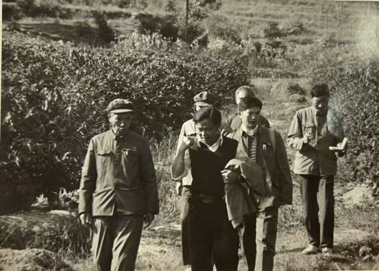1985年，杨善洲到潞江农场考察小粒咖啡生产种植情况.jpg