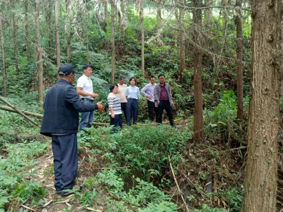 570b77ed9c51f064be60a36a7539147b