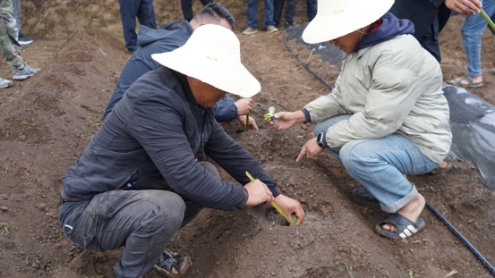 7798ed4cb14111d09efe74a7f9a58c46