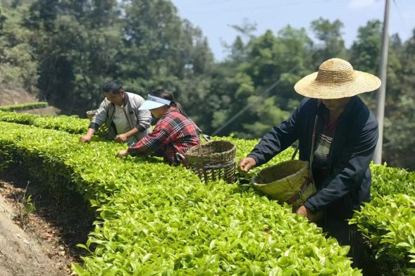 121fbb003db25f2850081c5ae082a960