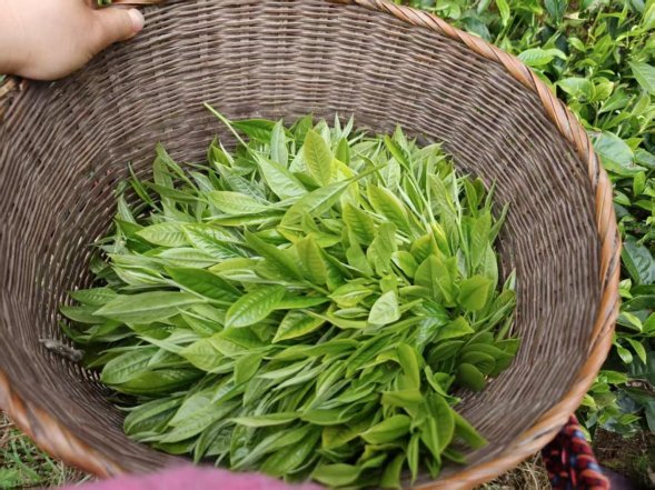 c87a1e9a0a0b31a23d7caa7137a9d62d