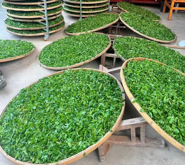 310d7747f59659463118f5444464fb60