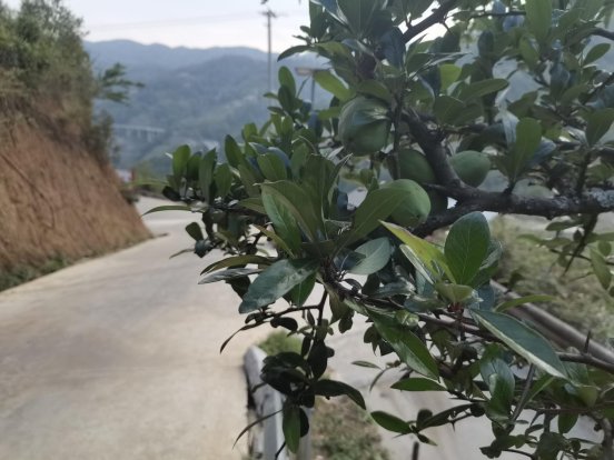 b4d22aae32414dffc24faa41d66a15c8