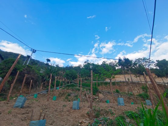 88e3bea85f7fe33daea9ee8654d90ee6