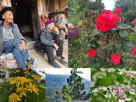 d0664cb02d159d2ebebcd7b7b32e2a99