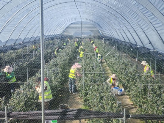 2b3255b1bdd7b43f9d296244f2f26632