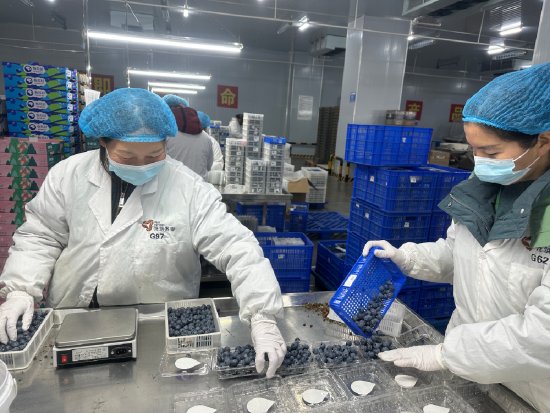 3c267e731e9536b369de129ca87eeefe