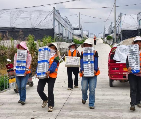 b4774845646e20ef98743ac126fe8908