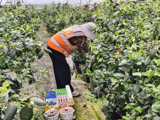 25b9abfb01f34814f2dbd63074e542c5