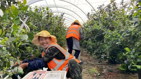 ff877f727be22bdc95f0fcc58a266896