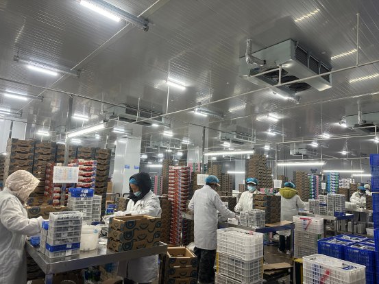 f19c5724bf69d12d20dbabbf309da7ee