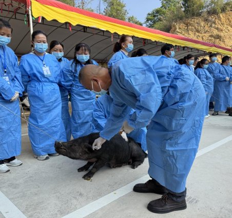 微信图片_20260417111953_390_214