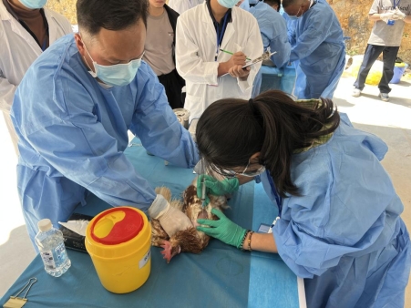 微信图片_20260417135216_39_646