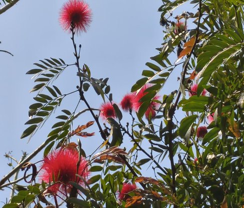 e69229e0f45312e5aebe2834e57f9151