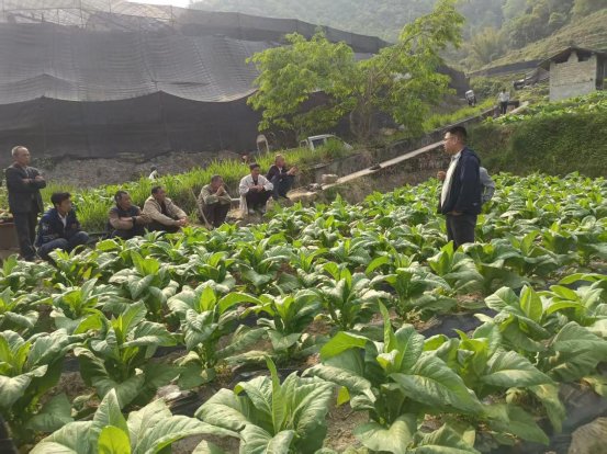 2805668d715980284bea4b4f05555648