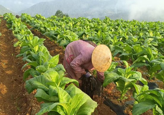 6ecf0e2d25bec667514e222cc2d6e229