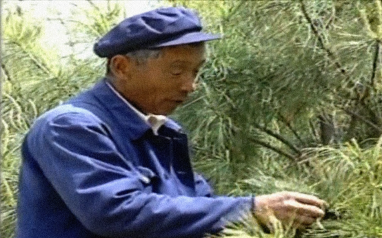 杨善洲重视造林护山.png