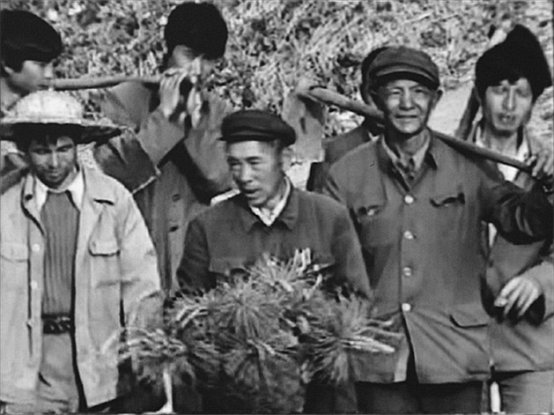BS-134-Y-照片-370.jpg