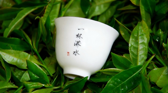 一杯漭水