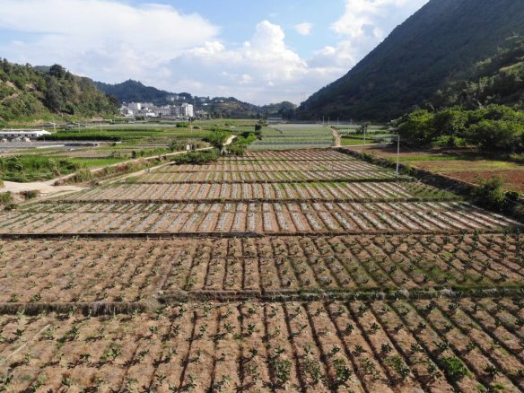 DJI_0422_new