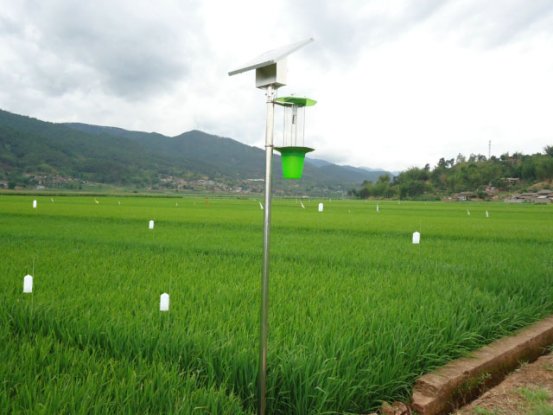 绿色防控样板