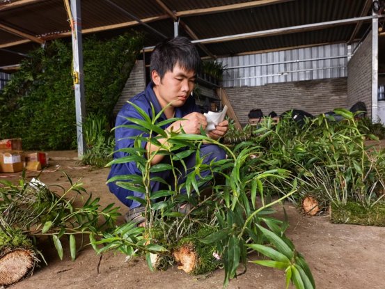 群众实现家门口务工（徐静拍摄）